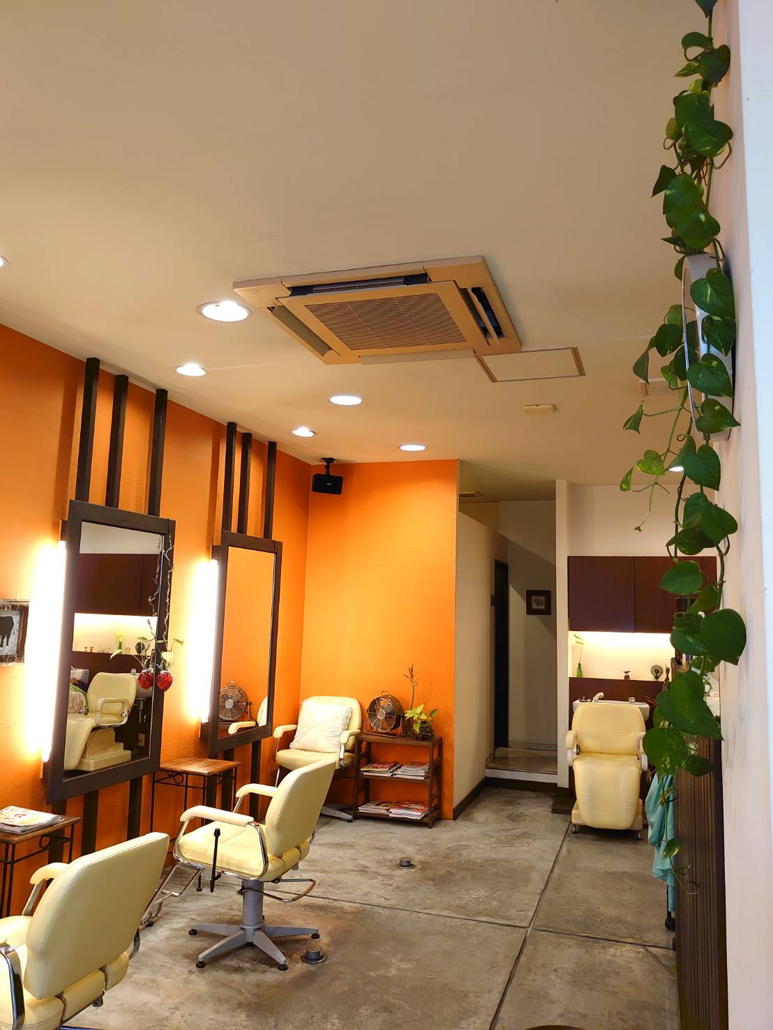 RAMBUT(ランブット) メイン写真