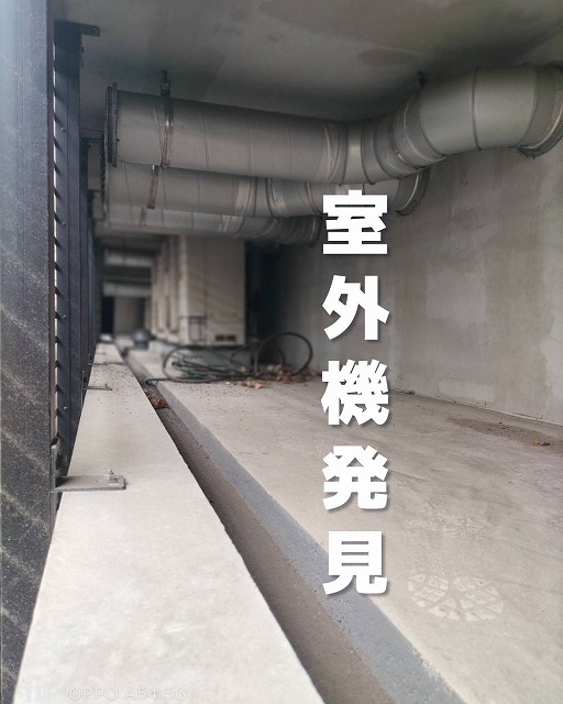 端麗拉麺 己巳