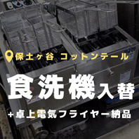 コットンテール