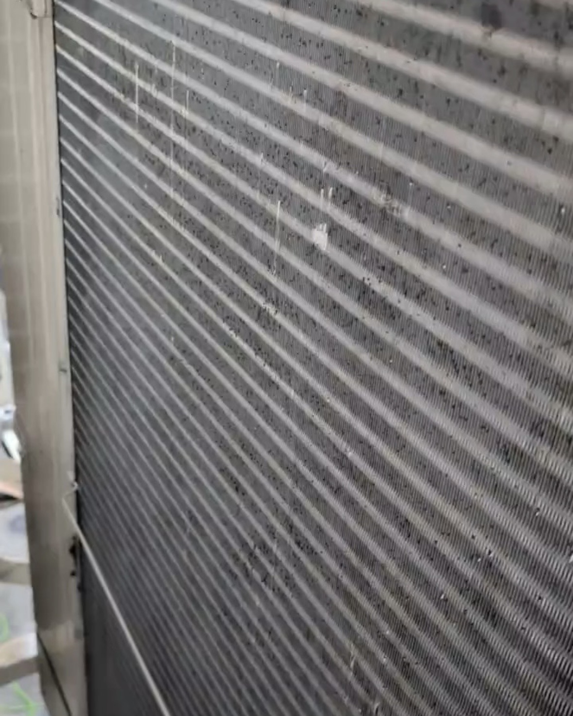 野毛一番街